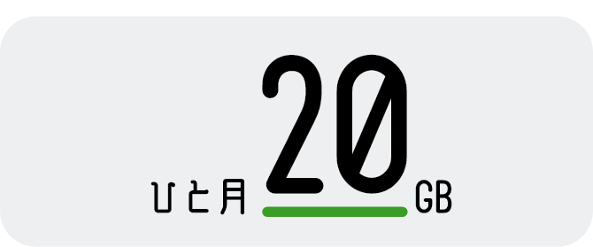 月額1,980円で大容量20GB